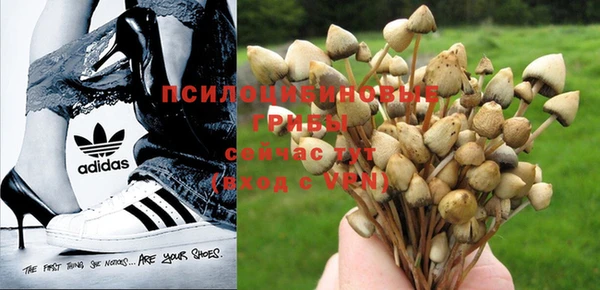 Альфа ПВП Балабаново